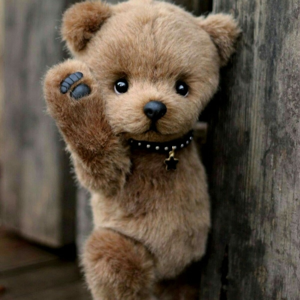 Meet your Posher, Bonnie